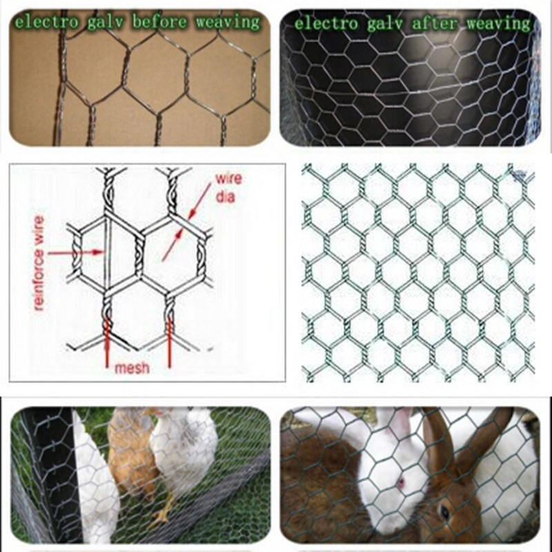 PVC Coated Galvanized Hexagonal Wire Netting ကြက်ကွက်