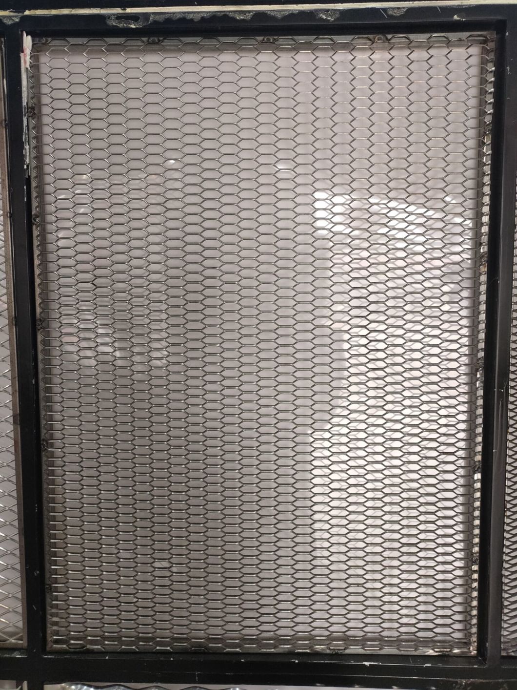 Розширена металева сітка для фасаду (MT-EM004)