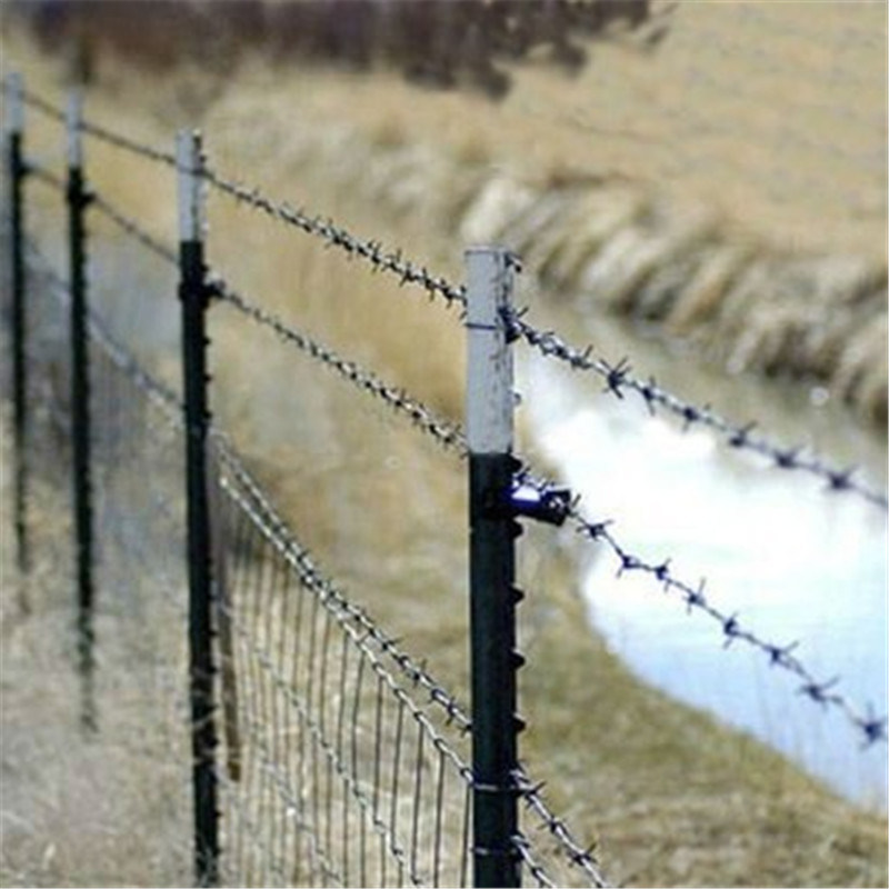 Reverse Twist High Tensile Barbed Wire