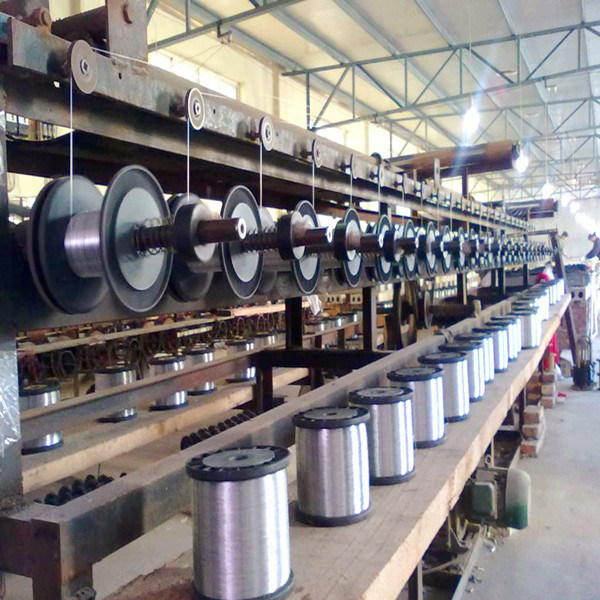 Flat Twisted Wire for Support Plant 20m-100m Length