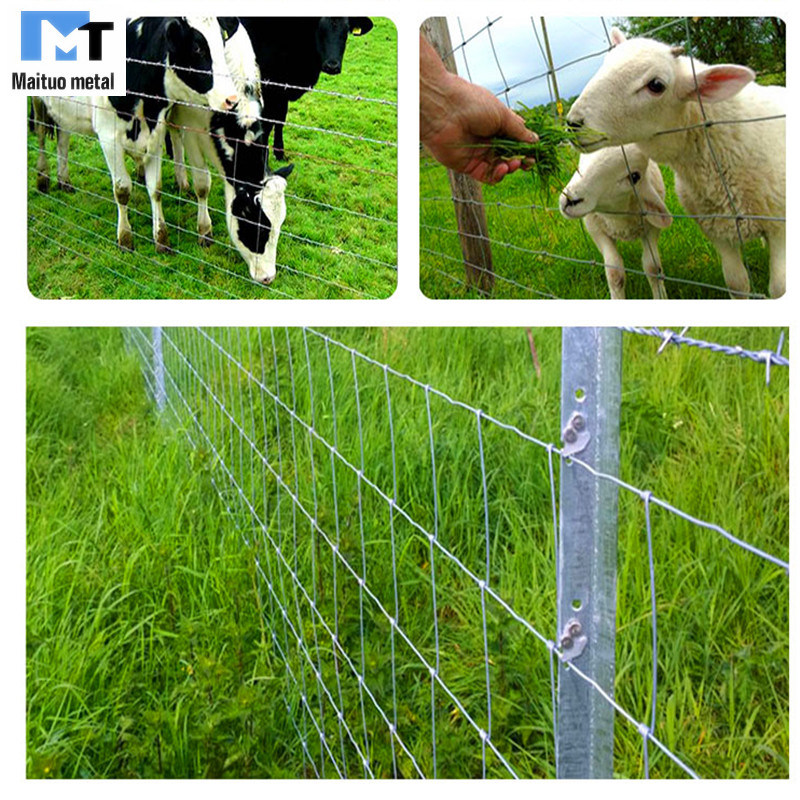 Livestock Fence Post for Farm Field Fence /Cow Fence /Deer Fence/Sheep Fence