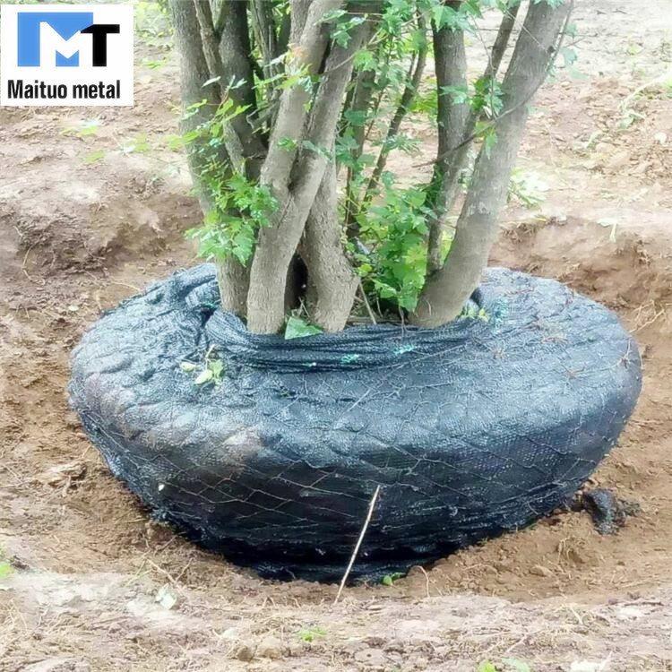 Tree Root Protection Net for Transplant