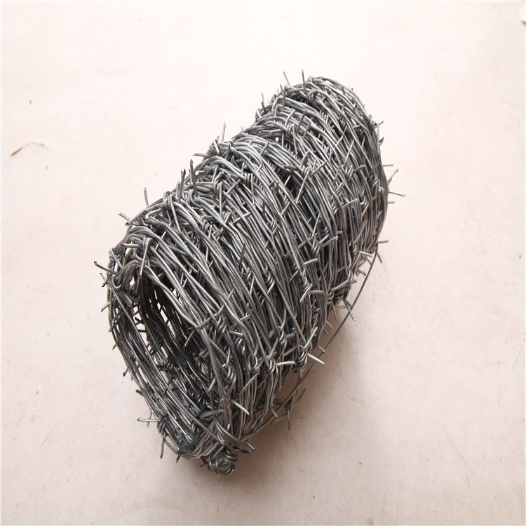 Galvanized Barbed Wire for Security (XA-BW002)