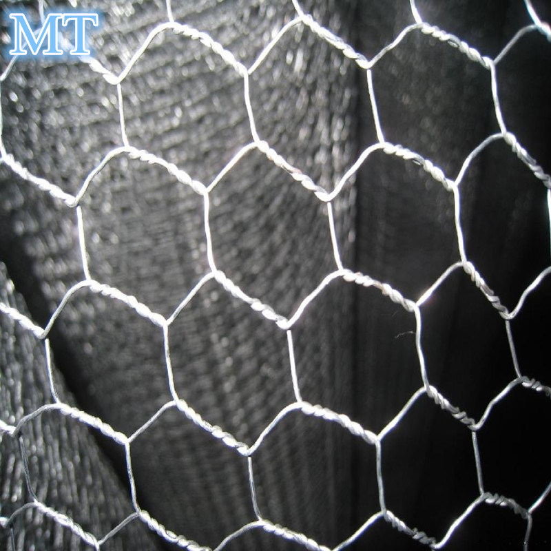 PVC Yashizwe hejuru ya Hexagonal Wire Netting Inkoko Mesh